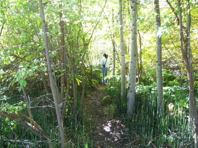 Wasatch mountain shop state park hiking