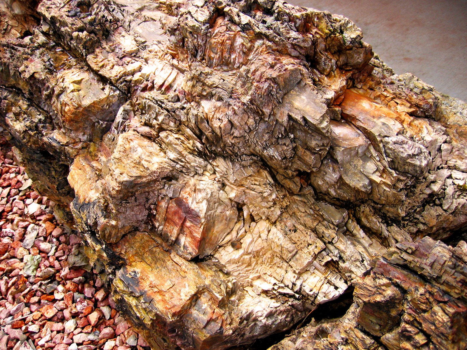 Petrified wood can be found spread throughout the whole park. 