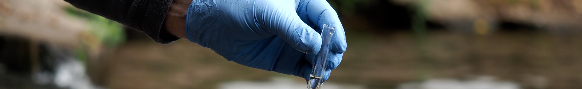 link to 2022 Blood Lead Surveillance Report