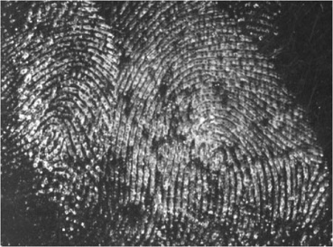 Latent Prints | DPS – Forensic Services