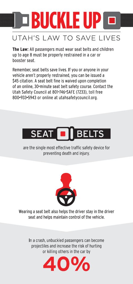 Seat Belt Laws - Know Your States Laws!