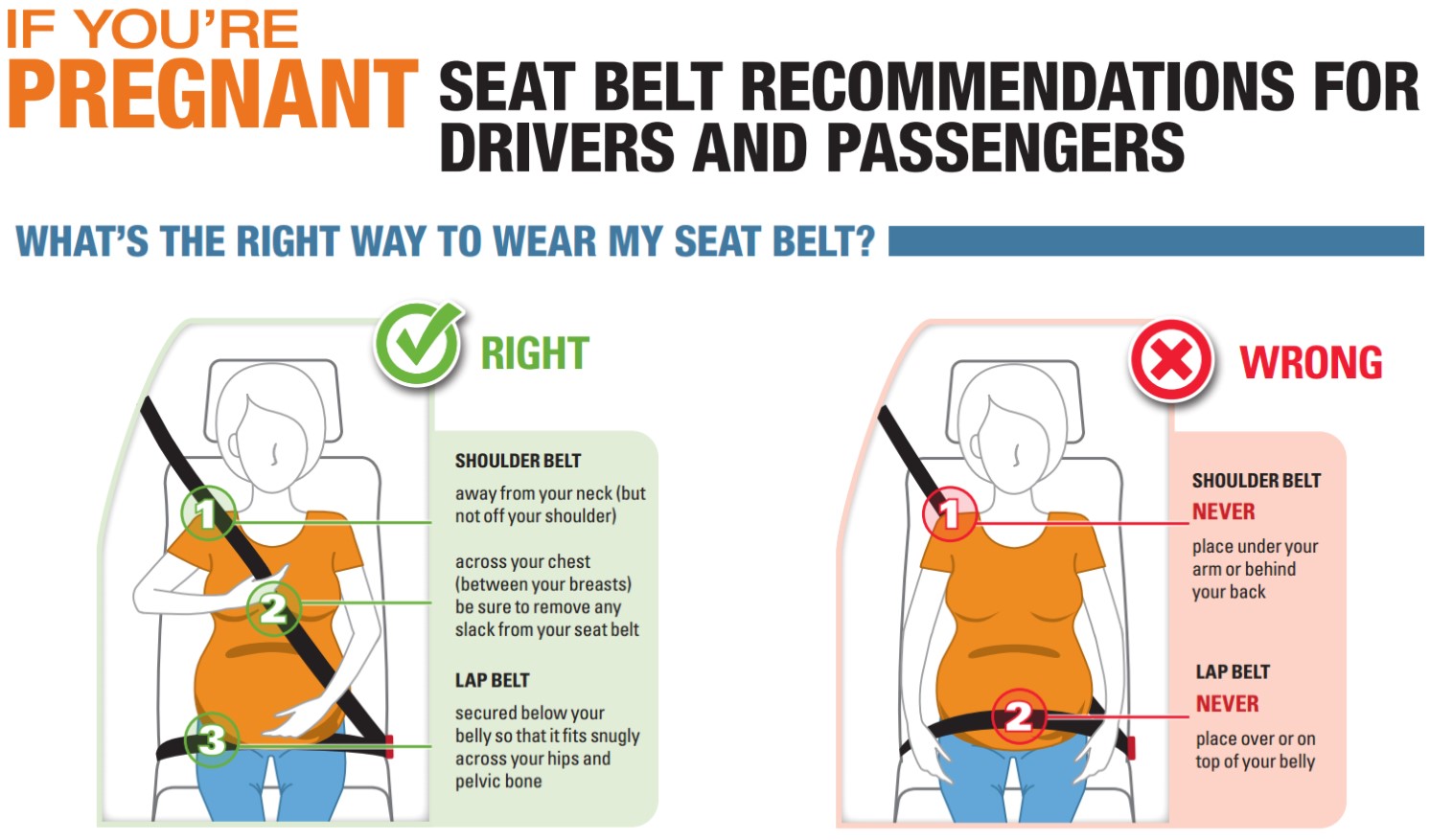 Seat belt and car seat guidelines