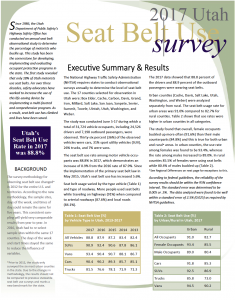 Screen cap of the front of PDF of 2017 seat belt use survey 