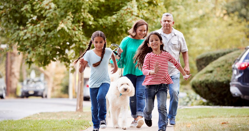 A family walks their dog down the street.